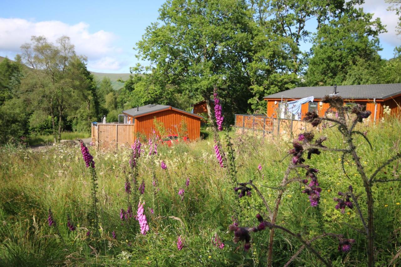 Balquhidder Braes Holiday Park Lochearnhead Dış mekan fotoğraf